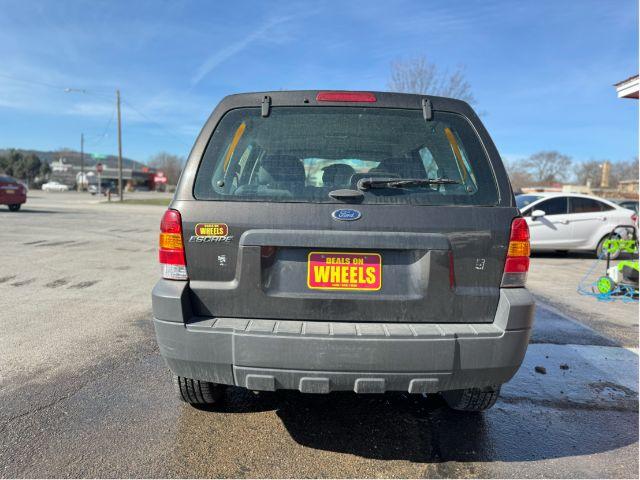 2007 Tungsten Grey Metallic Ford Escape XLS 4WD (1FMCU92Z87K) with an 2.3L L4 DOHC 16V engine, 4-Speed Automatic transmission, located at 601 E. Idaho St., Kalispell, MT, 59901, 48.203983, -114.308662 - Photo #6